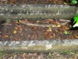 image of grave number 321969